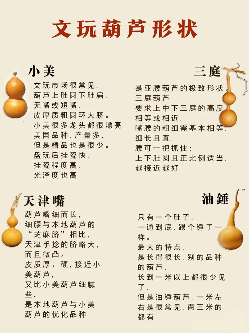 纯天然精品葫芦直播间选购下单（专拍链接，请勿私自下单）