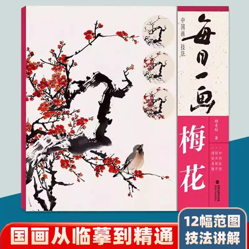 每日一画梅花中国画技法国画入门基础教程书写意水墨画花鸟册页工