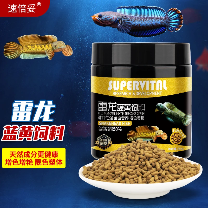 速倍妥雷龙专用饲料 增色增艳 增蓝增黄高蛋白优质雷龙鱼营养鱼粉