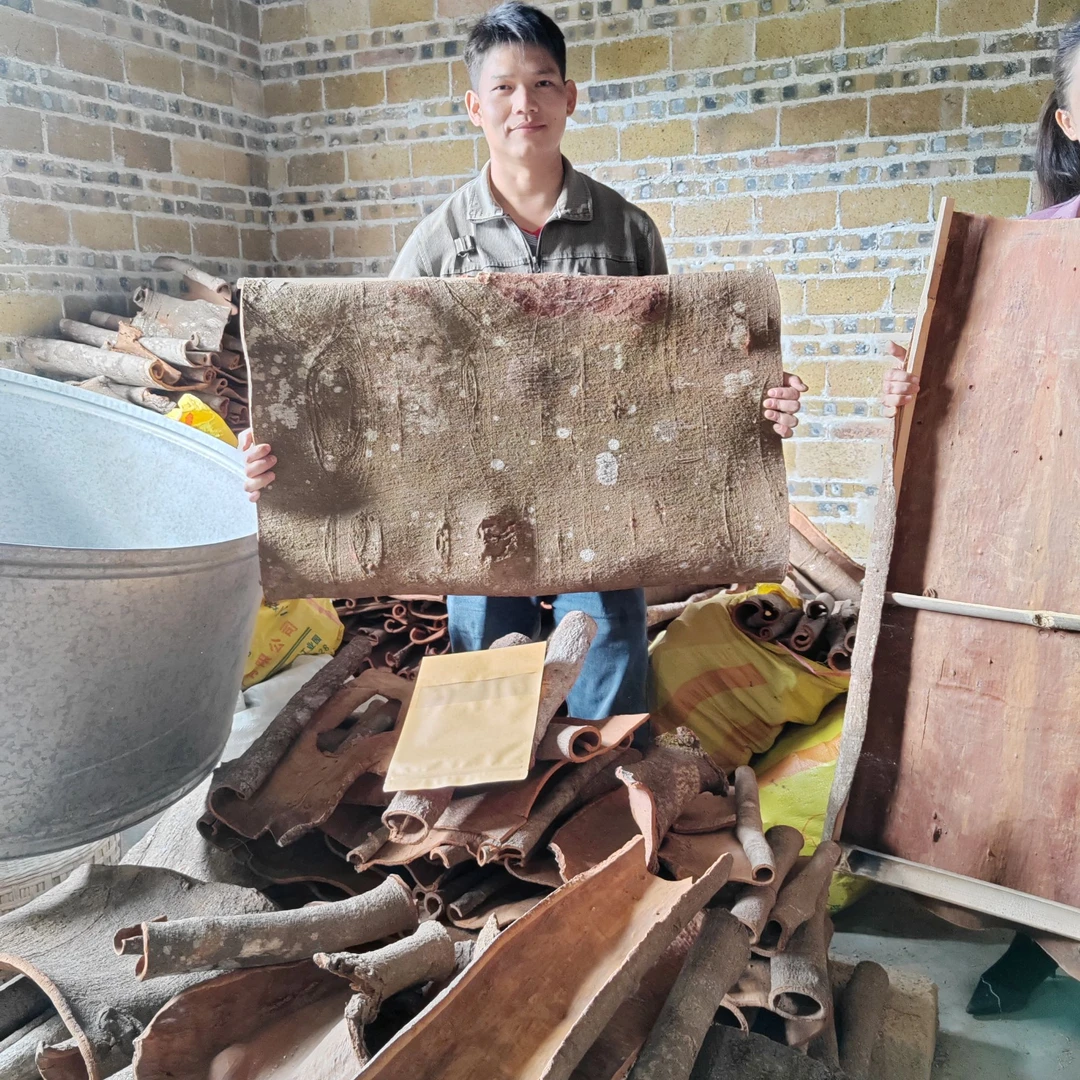 农人樱桃 广西桂平肉桂皮