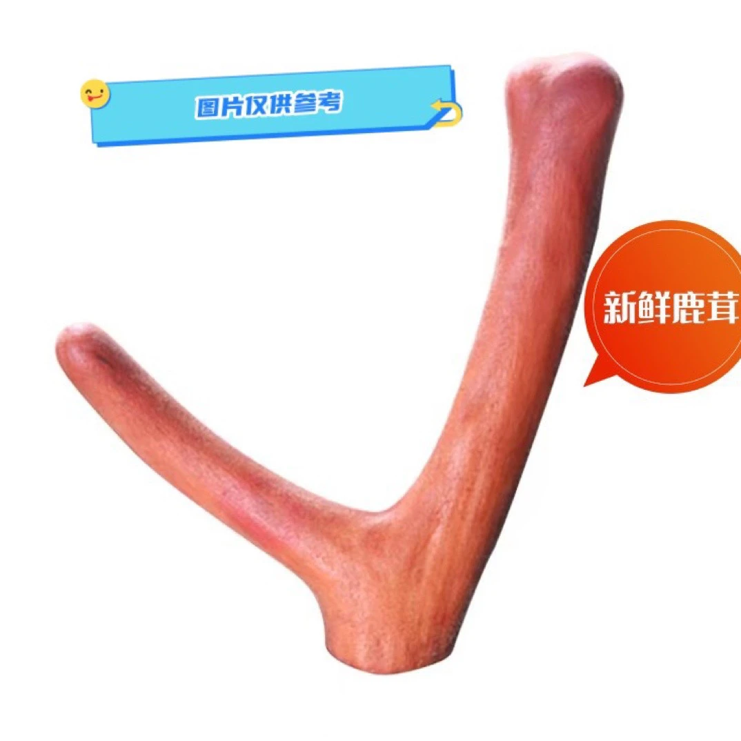 鹿茸产地直发 新鲜鹿茸直播选购现场称重