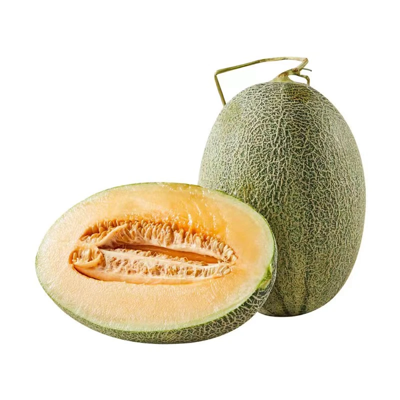 西州蜜瓜 2只装