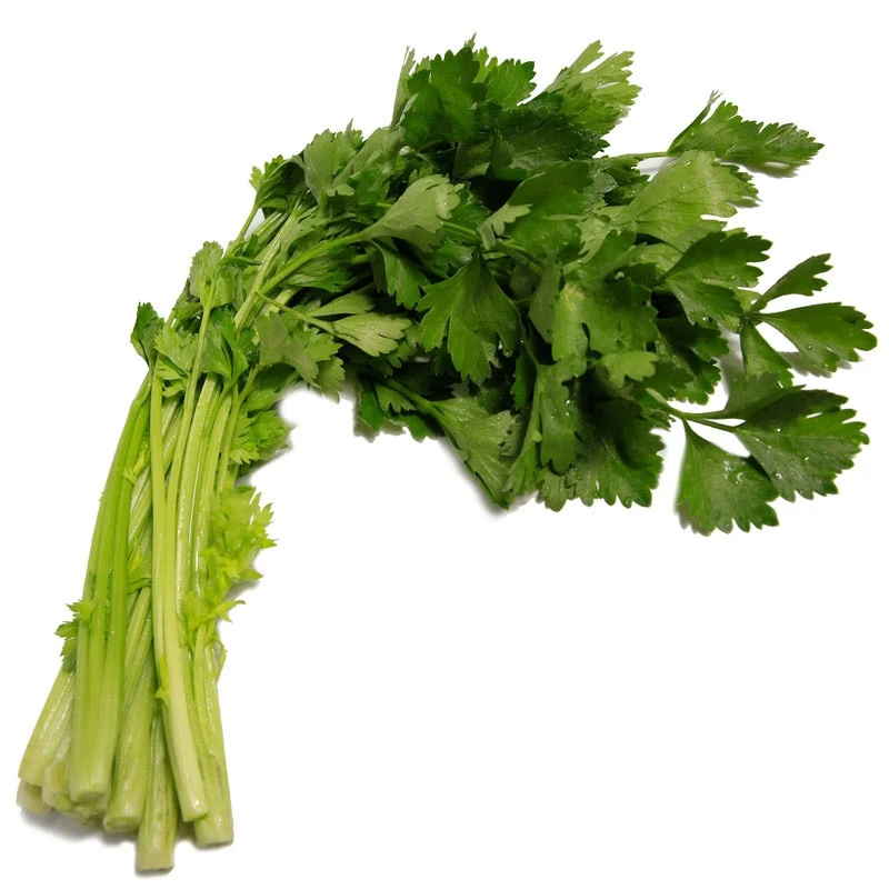 供港芹菜苗 300g