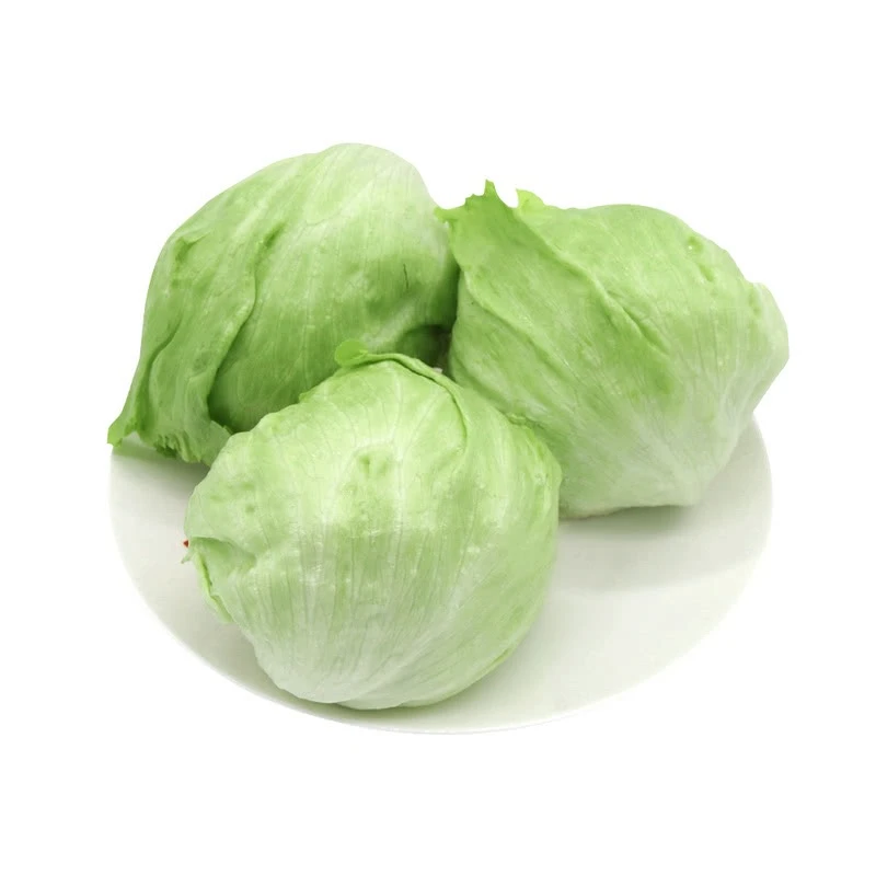 球生菜 800g