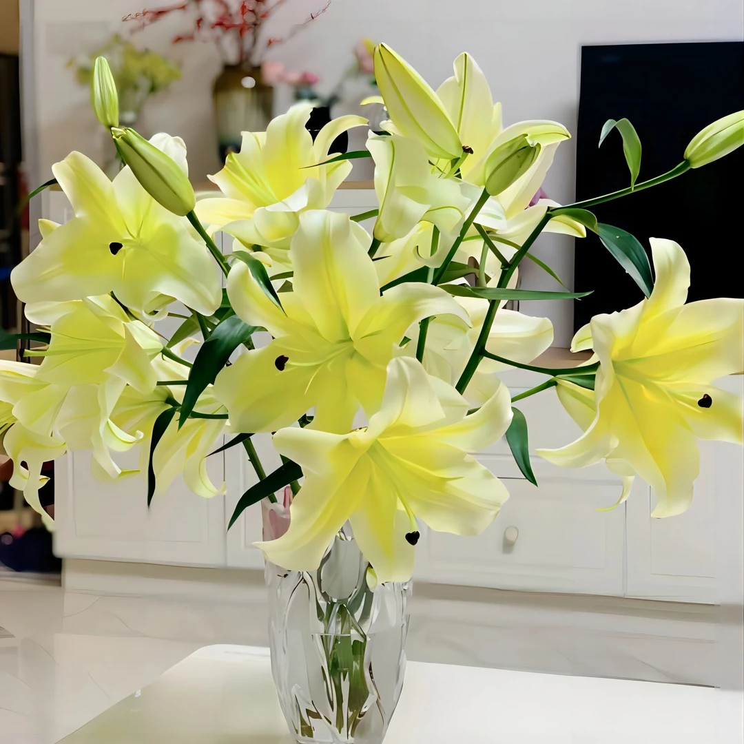 百合 黄天霸 精品鲜切花10枝/扎 3扎共用1个运费