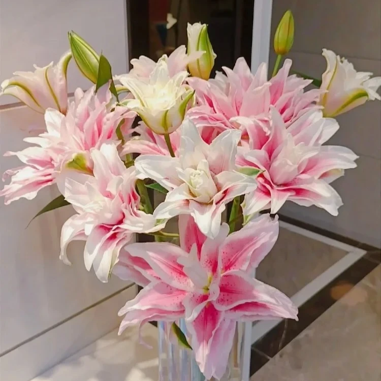 【重瓣百合 伊莎贝拉】同一地址一单发中通,两单发顺丰