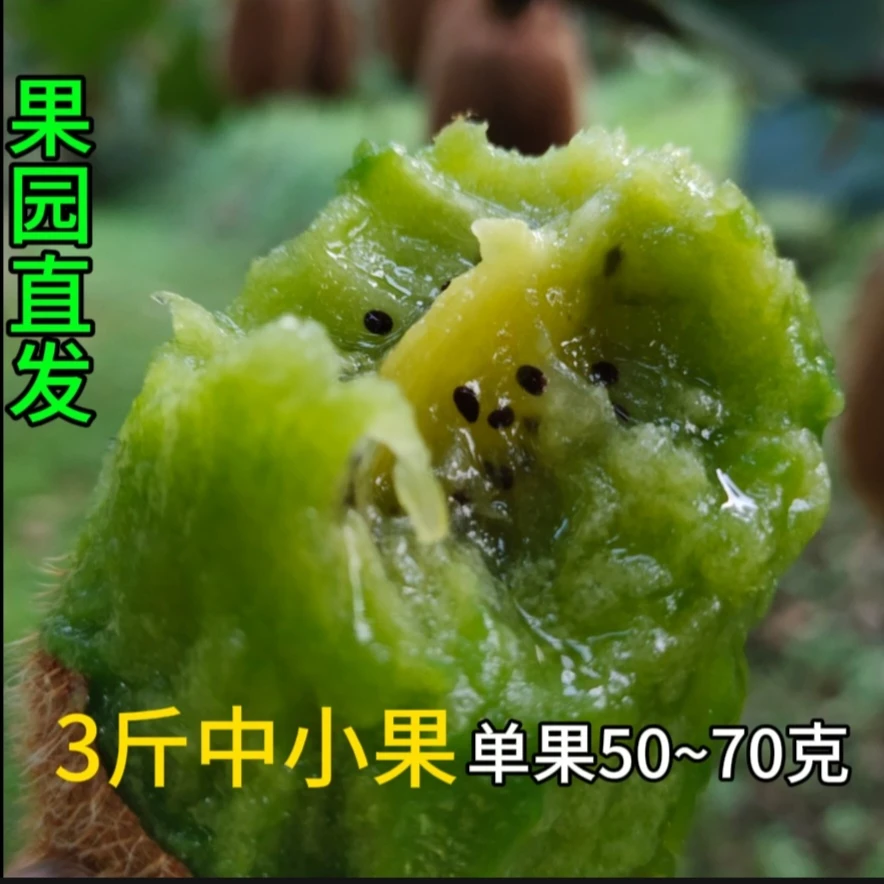贵州修文猕猴桃  维C丰富 味美健康 适合老人孕妇小孩