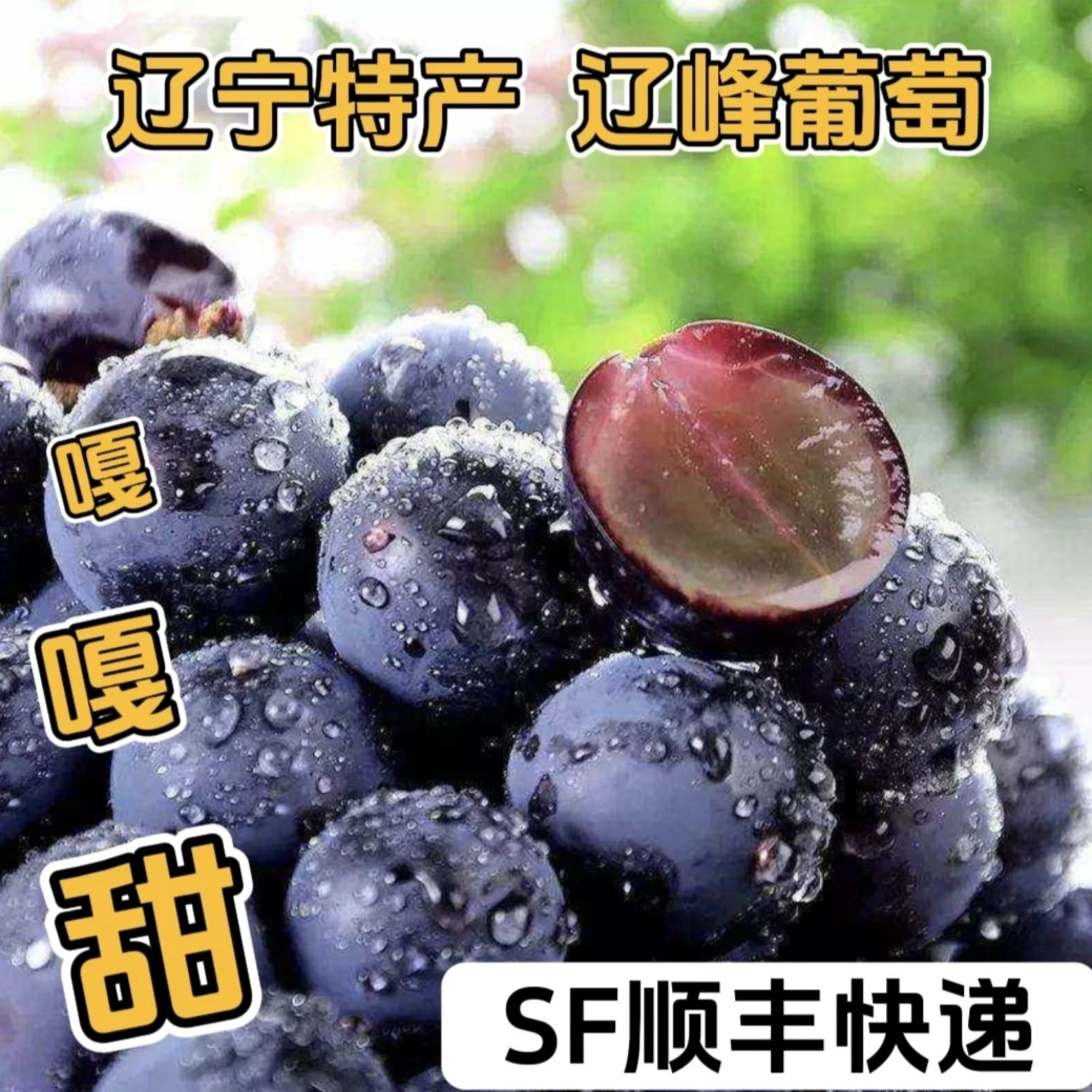 【顺丰空运辽峰葡萄】净重3斤（剪粒包装发货）坏果包赔