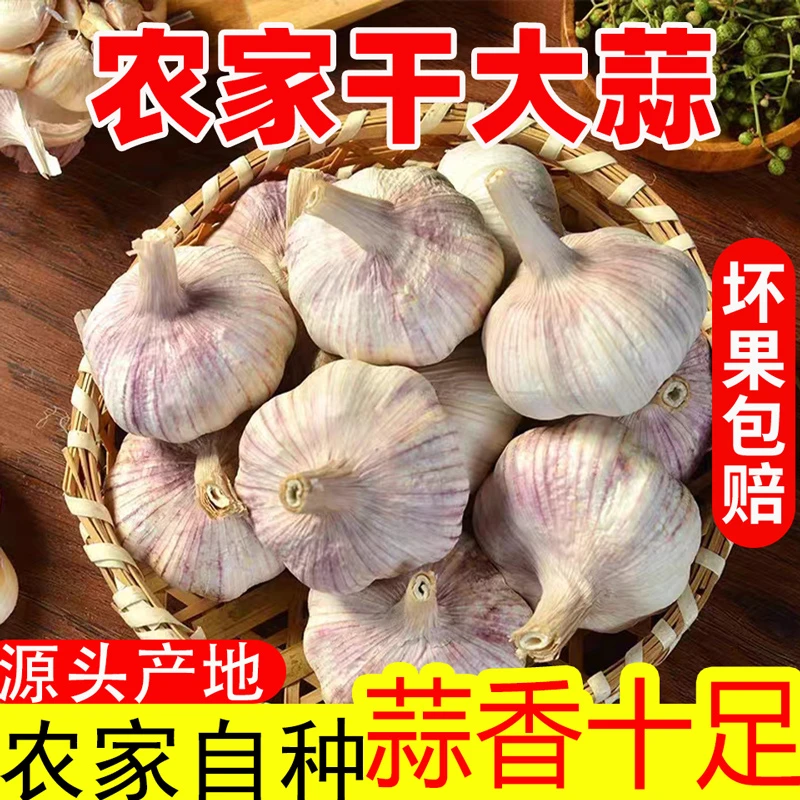 (农家土蒜)十足干蒜5斤紫白皮杞县特产干大蒜头1斤2斤3斤9斤可种