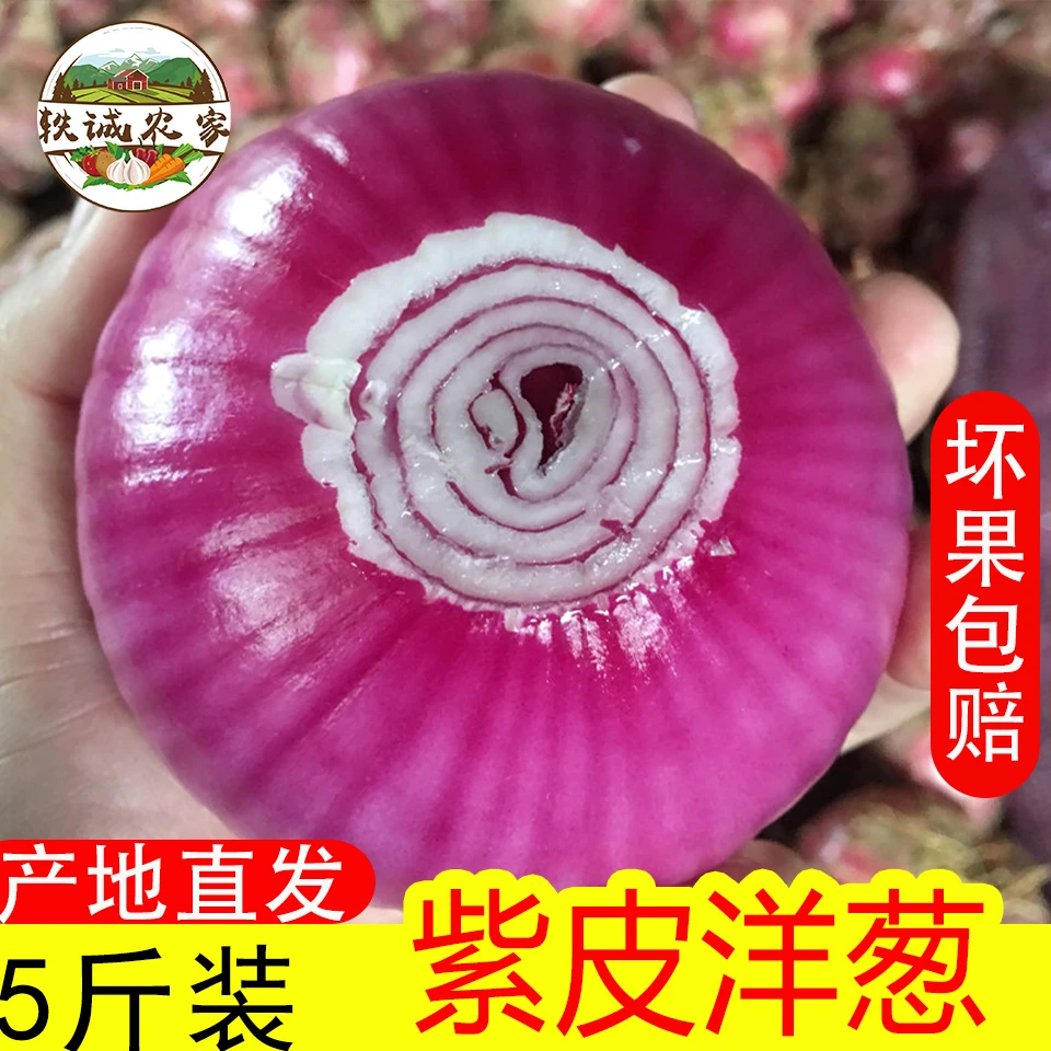 【游三助农】5斤新鲜紫皮洋葱农家自种蔬菜洋葱