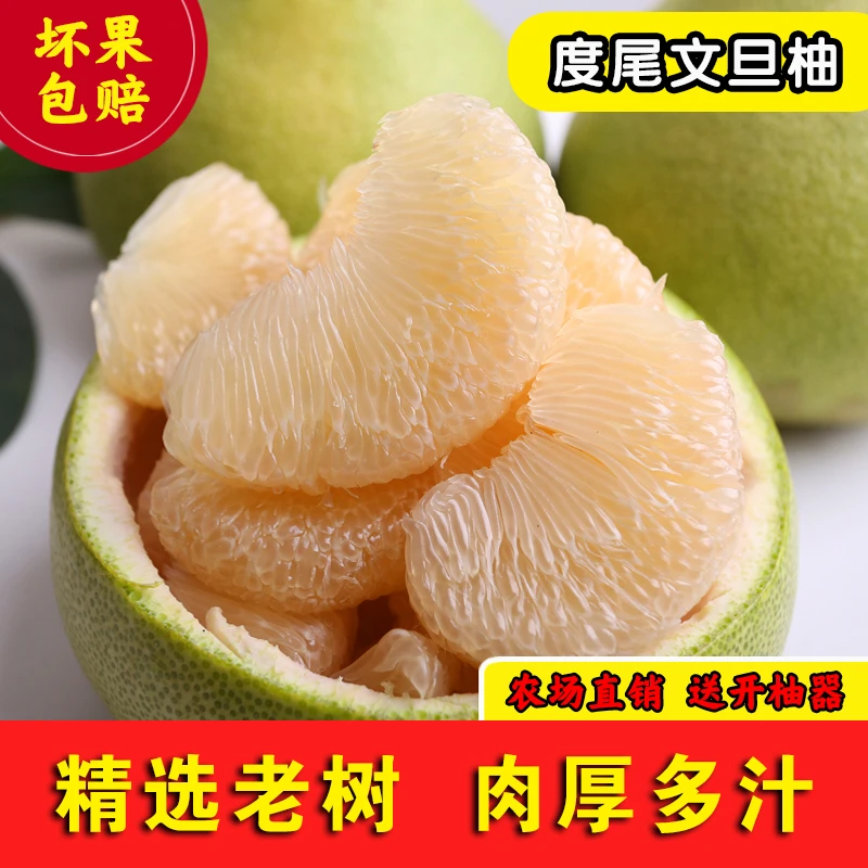 【吴多一专属】【礼盒装】度尾老树文旦柚精品果5斤装/10斤装新鲜采摘