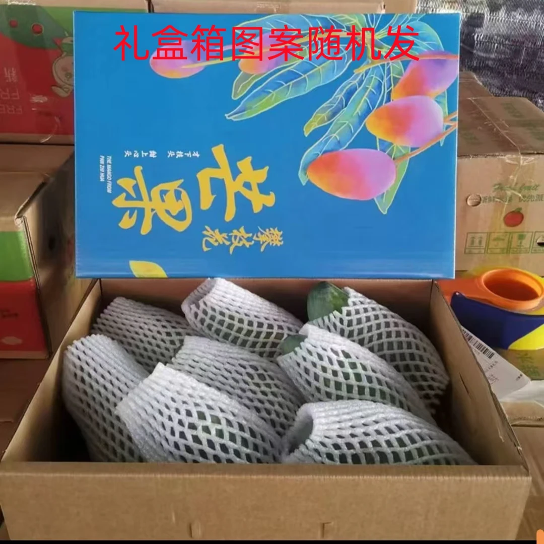 【精品礼盒装】四川攀枝花凯特芒果8.5斤整箱新鲜水果香甜多汁AQ