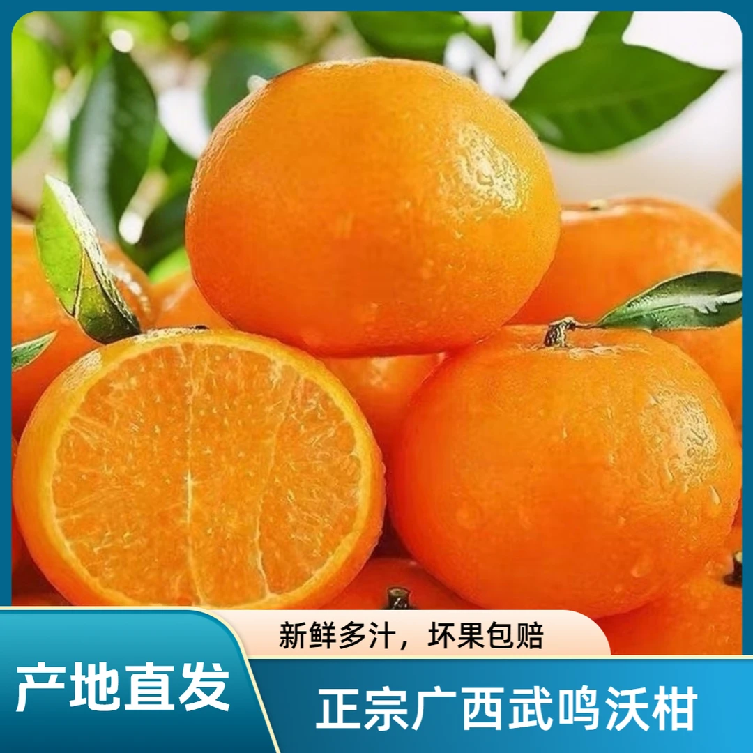 【东三西三拍加保温】正宗广西武鸣沃柑香甜橘子新鲜水果带箱5-10斤