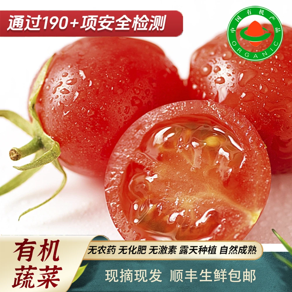 3斤【有机圣女果】0添加自然成熟农场直发新鲜多汁饱满酸甜小番茄