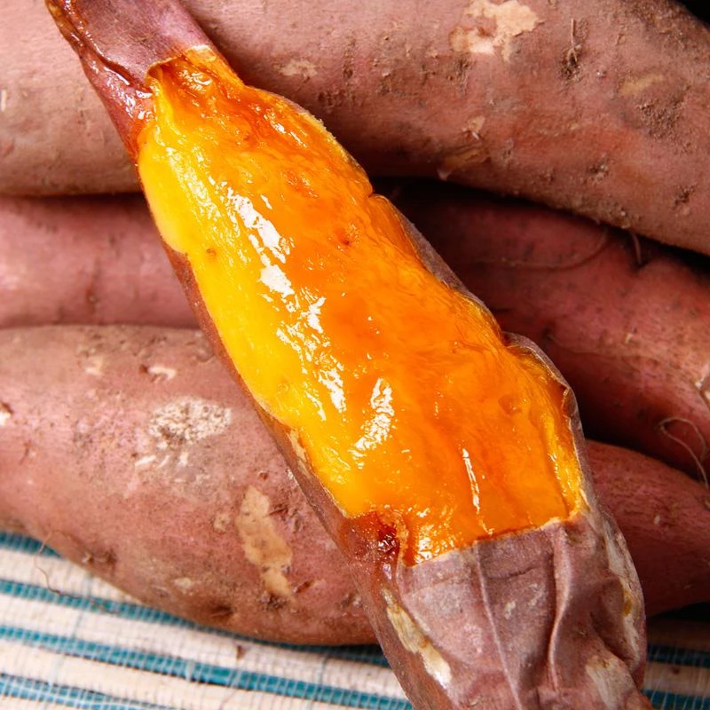 【申通/产地溯源】庄河沙土烟薯25