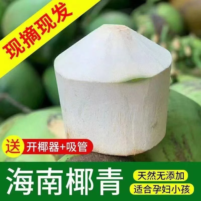 （水果件发出后不支持退换）海南文昌切皮椰青6个装新鲜现摘椰子