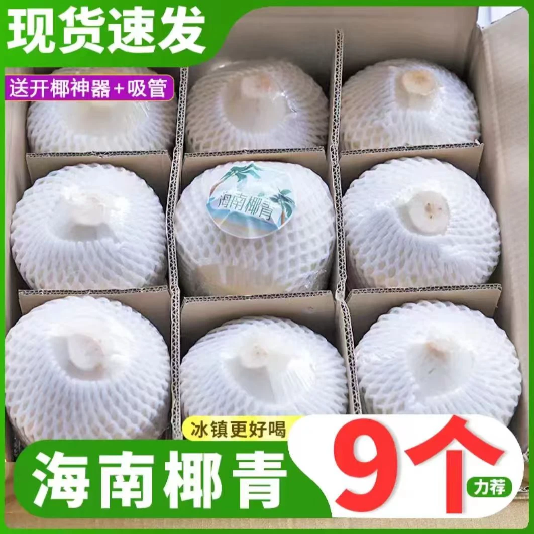海南文昌箱装椰青解渴新鲜现摘鲜椰子