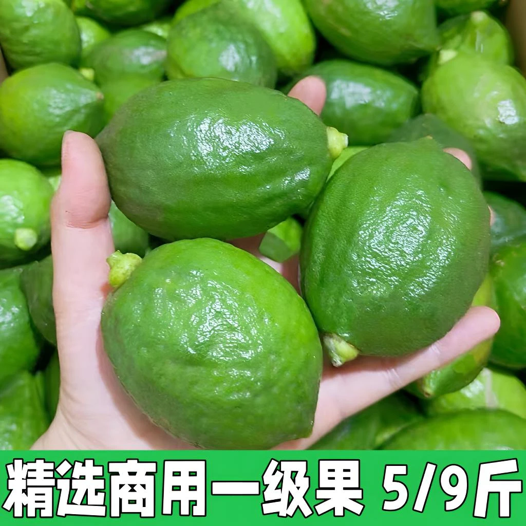 广东香水柠檬精选一级果5斤9斤香味浓郁爆香型手打柠檬茶果园现摘