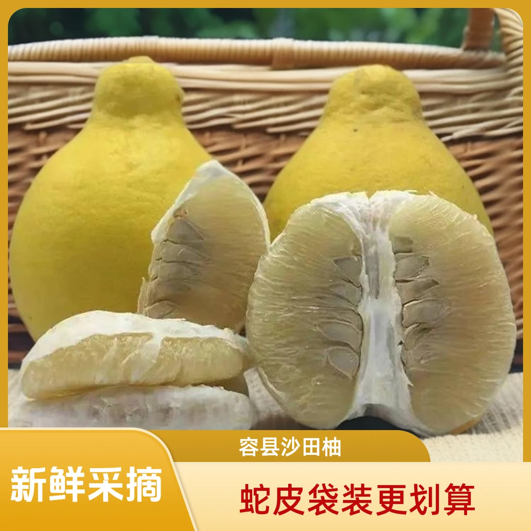 广西容县沙田柚4-50斤柚子标准山顶老树果(蛇皮袋装仅限两广下单)