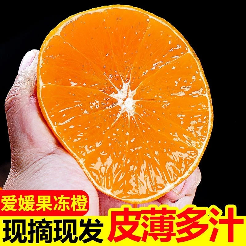 爱媛38号果冻橙四川眉山产区果园现摘现发新鲜应季爆甜多汁