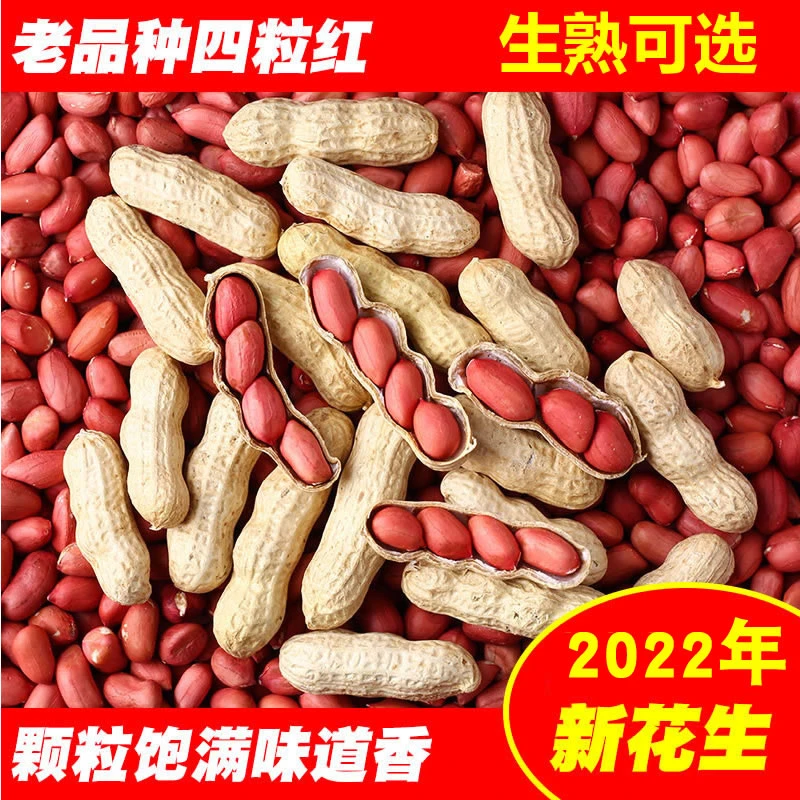 现炒东北四粒红花生带壳红皮铁锅现炒熟花生米仁新货原味3斤包邮