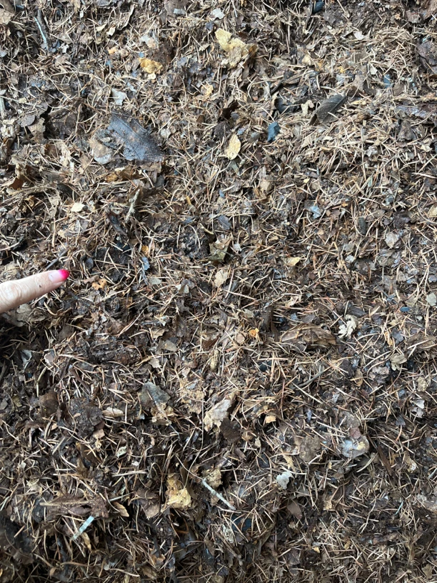 君子兰专用腐叶土5斤装（海南新疆西藏不包邮）