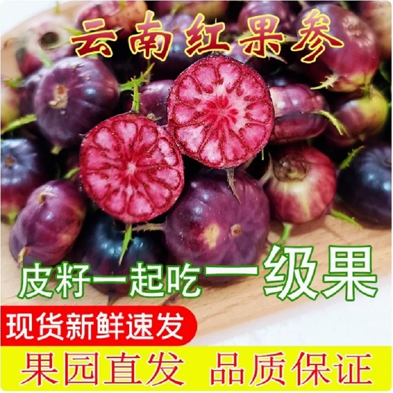 红果参1111111111111