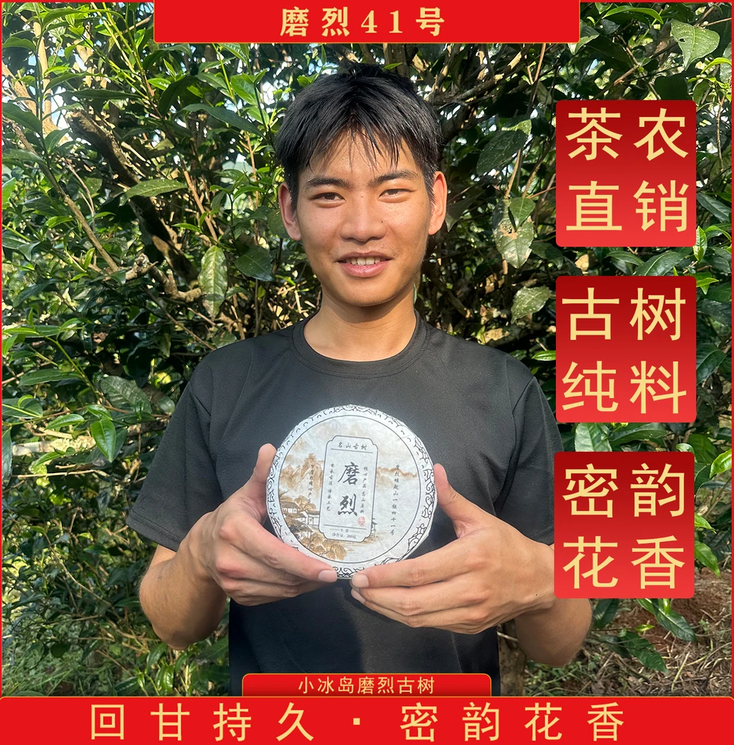 2021年上磨烈头春挑采200年古树普洱生茶200g*5饼
