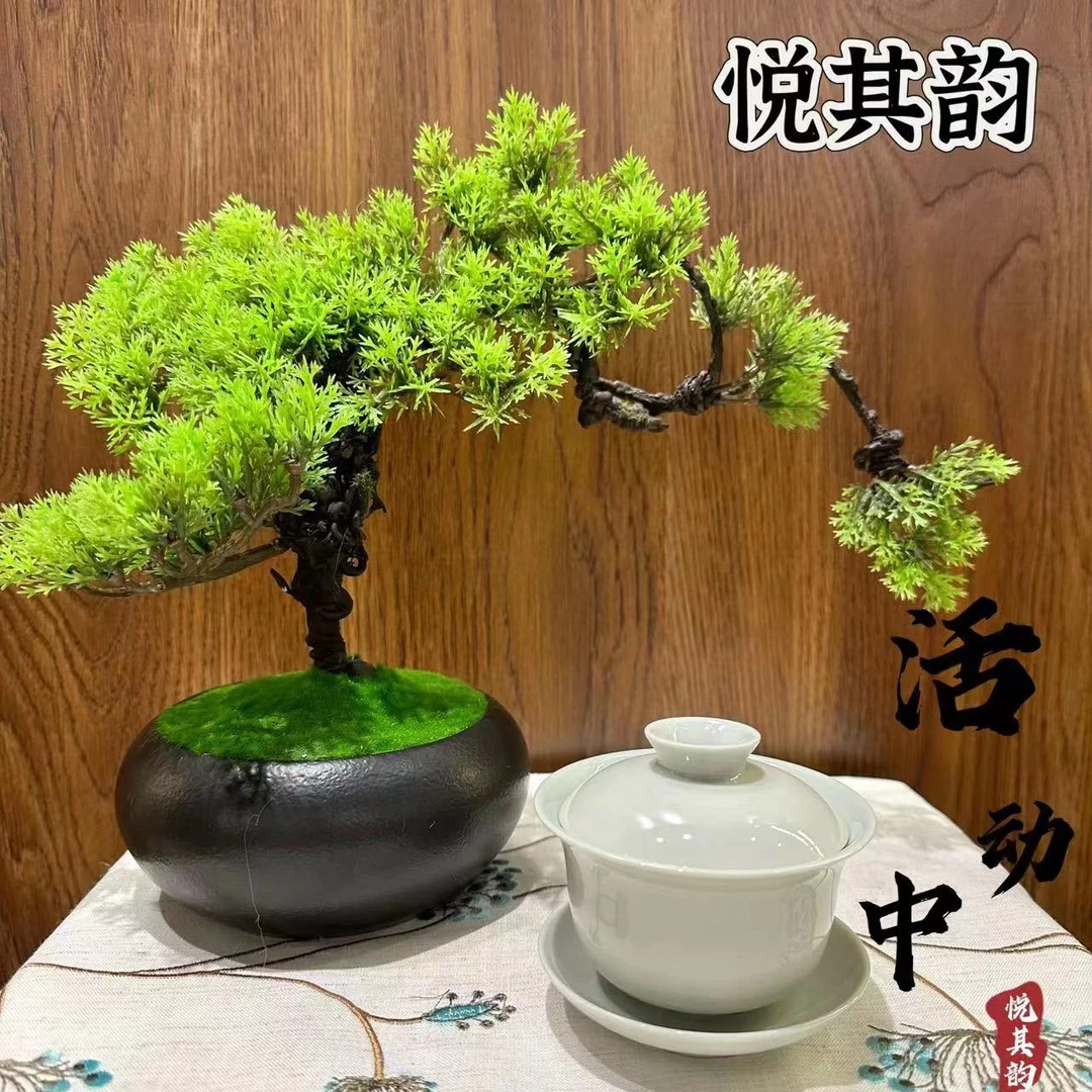 【改价链接】悦其韵武夷岩茶