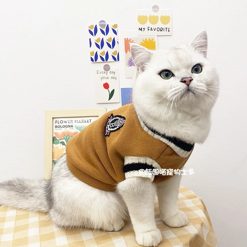 学院风韩版猫咪衣服宠物防掉毛可爱秋冬季保暖银渐层布偶蓝猫英短