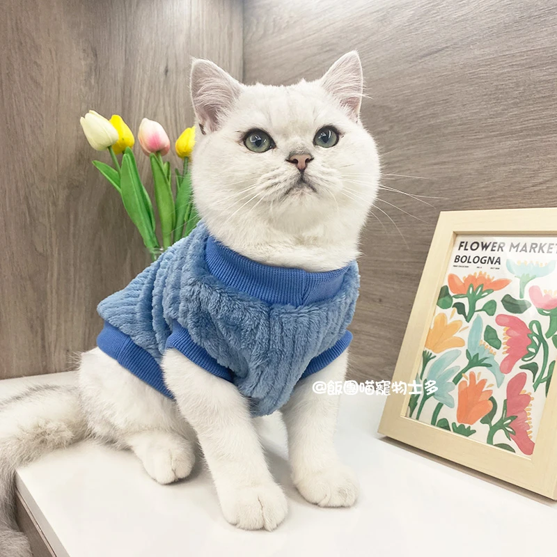 韩版纯色宠物猫咪衣服保暖秋冬季防掉毛蓝猫美短银渐层布偶猫背心