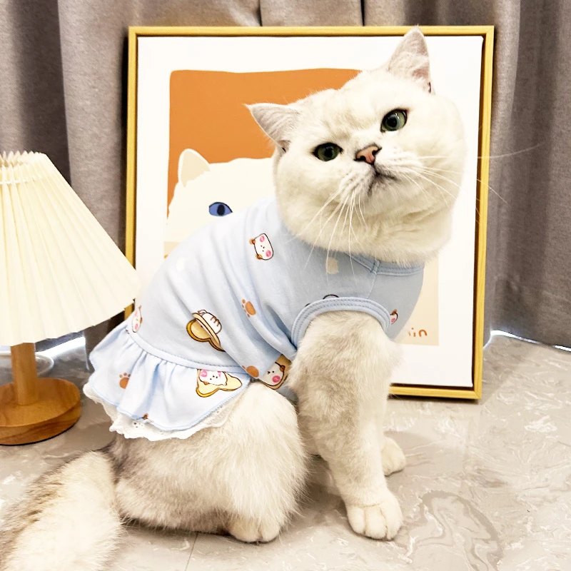 韩版公主风宠物裙子猫咪衣服夏季薄款矮脚蓝猫布偶可爱防掉毛背心