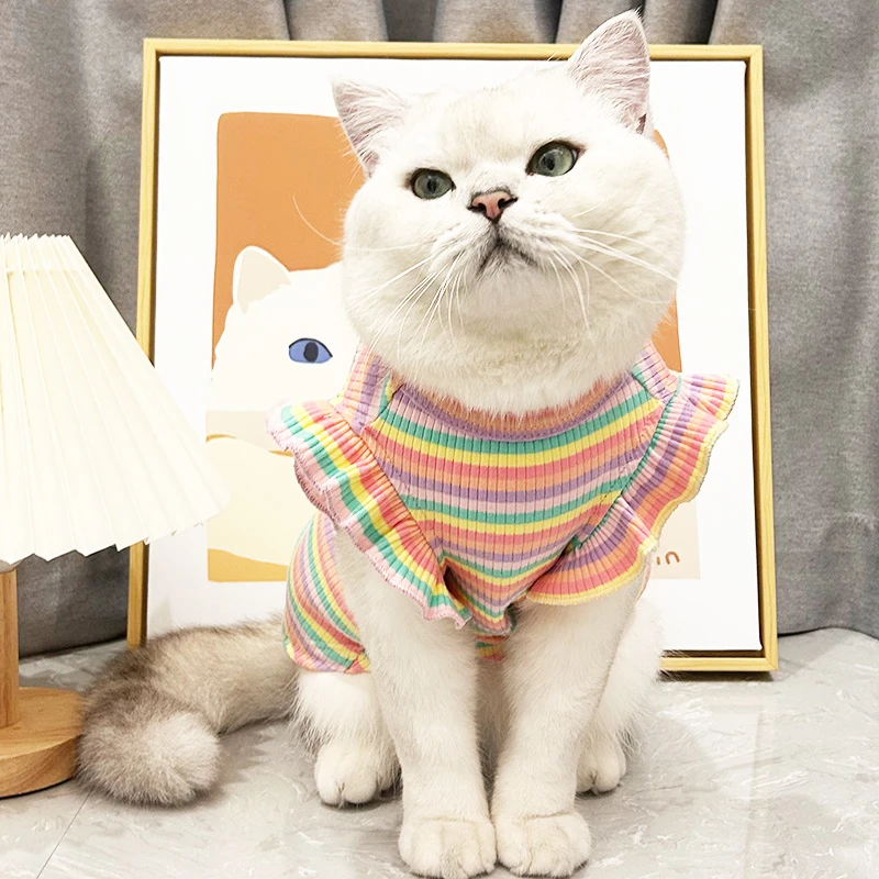 飞袖猫咪衣服薄款夏季金银渐层美短英短布偶矮脚猫防掉毛可爱背心