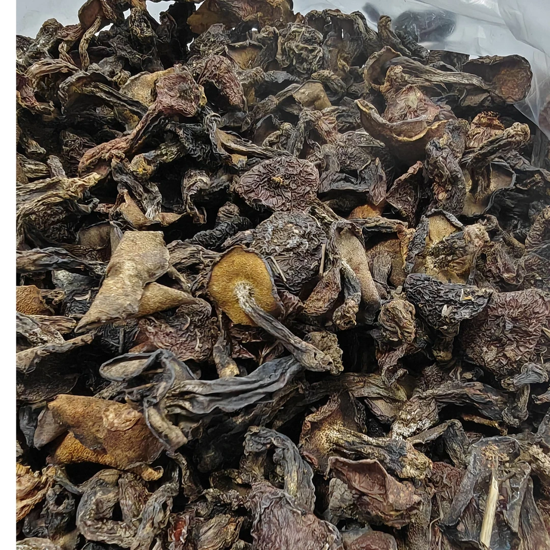 2025沂蒙农家自采晒干松蘑松蛾子（山东天气原因会发潮，介意勿拍）