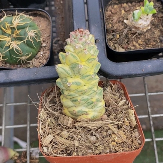 伯克利和他的朋友在一起