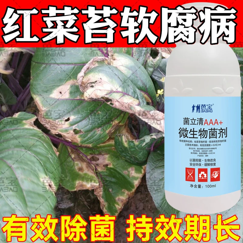 红菜苔专用药红菜苔病专用黄叶软腐霜霉病黑腐病菌核病专用杀菌剂