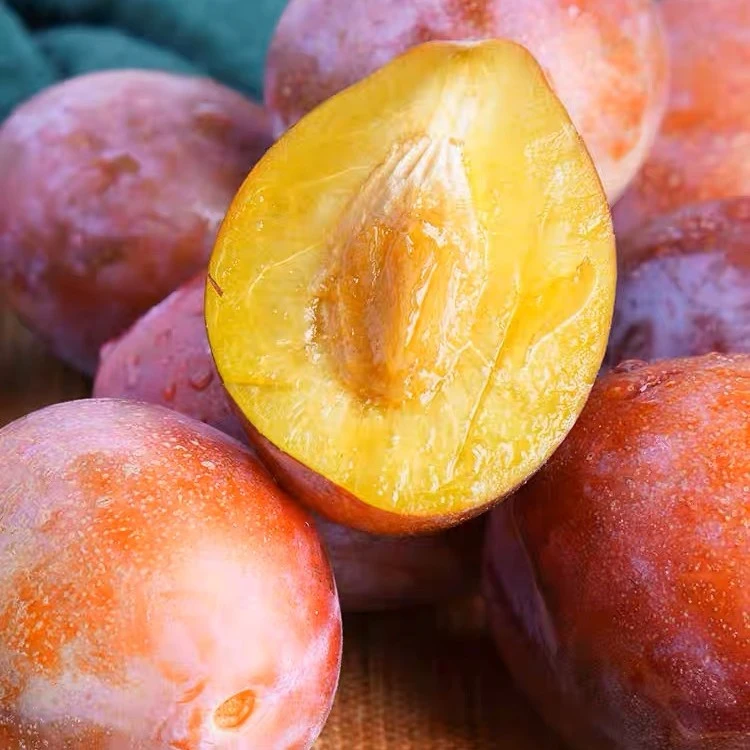 【六妈推荐】西梅 香甜多汁核小 1件3斤起 辽宁发货