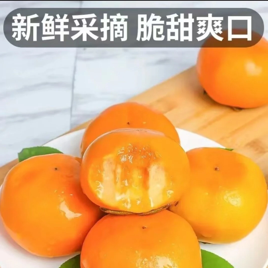 【新年大果福利】广西桂林高山冰糖心甜脆柿子 巧克力脆柿5/9斤