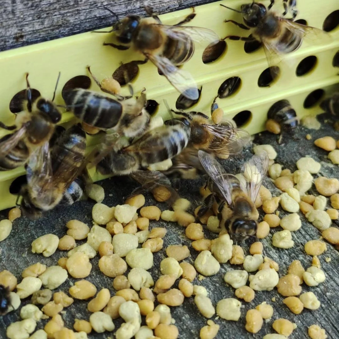 花粉      1250g（一组5瓶）