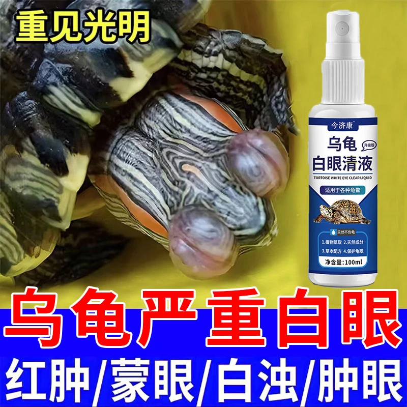 【龟不再白眼】今济康乌龟白眼清液眼睛发白红肿发蒙睁不开肿眼睛用