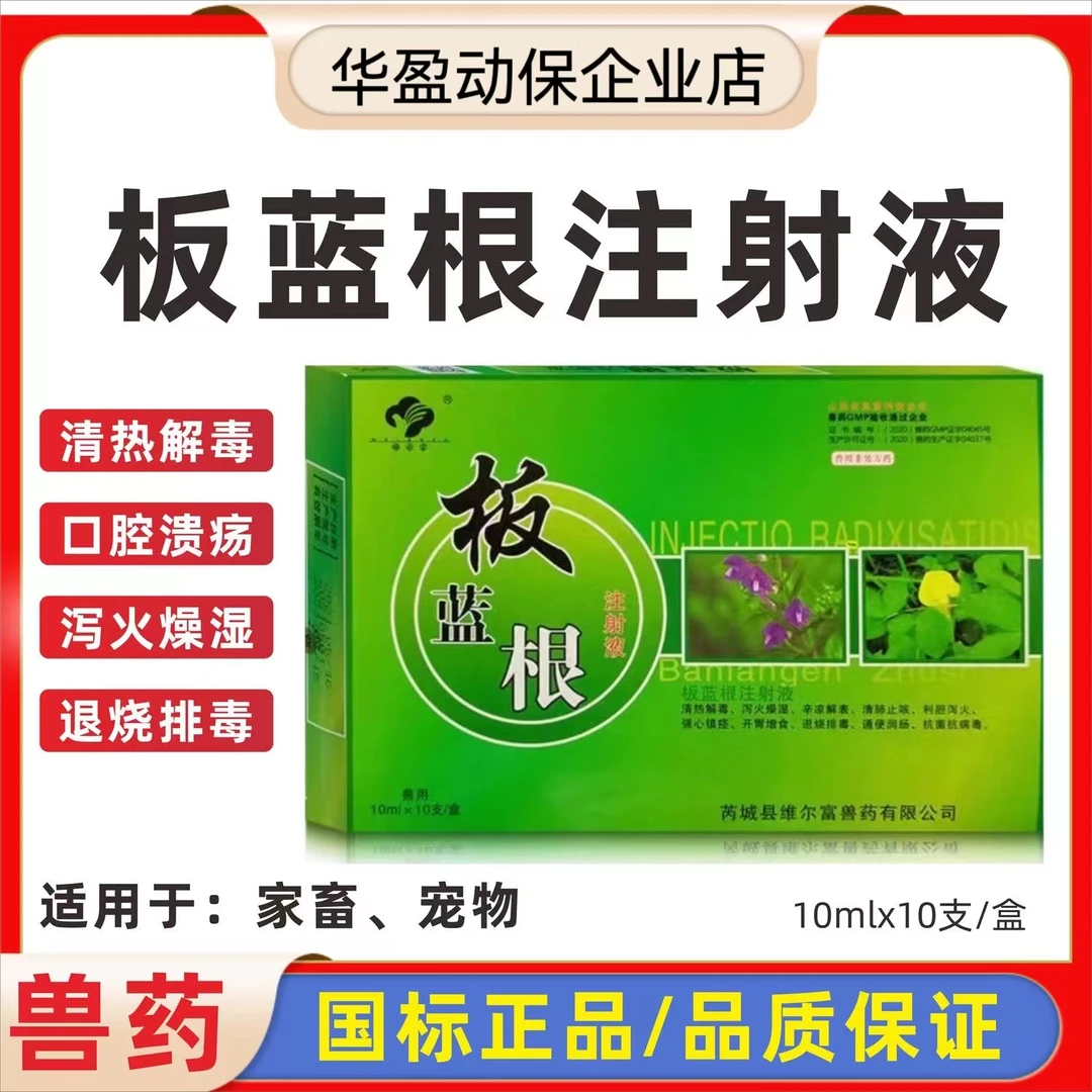 板蓝根兽用注射牛羊猪兽药批发大全板蓝根注射液兽用清热解毒流感