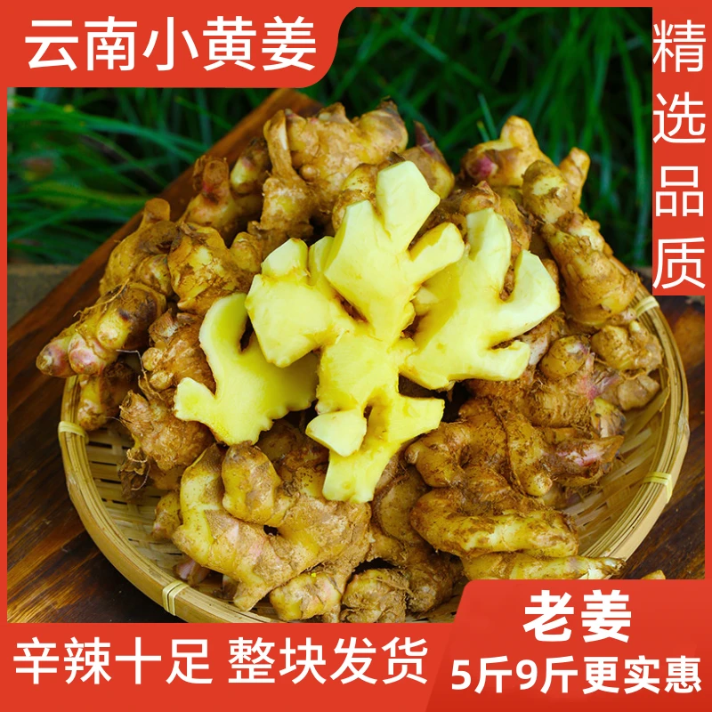【精品姜】正宗云南小黄姜高山新鲜现挖生姜辛辣整块1-9斤腌制煲汤