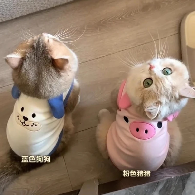 薄荷同款猫咪春夏秋防掉毛狗狗衣服德文蓝金渐层宠物背心马甲薄款