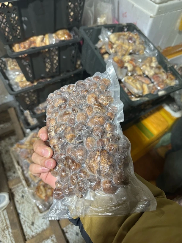 云南高山特产马屁泡二级货，冷冻空运发货