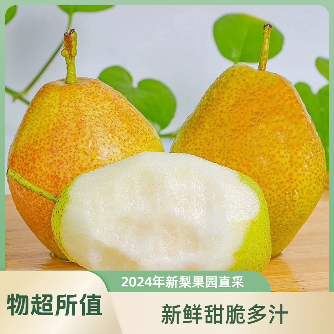【当季新果】正宗红香酥梨 5斤装 新鲜水果脆甜多汁 坏果包赔zh