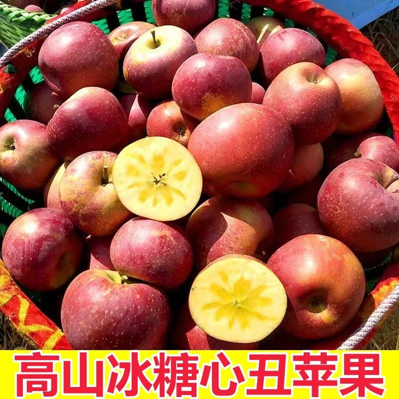 【高山丑苹果】山西冰糖心红富士丑苹果 新鲜水果脆甜孕妇宝宝1-9