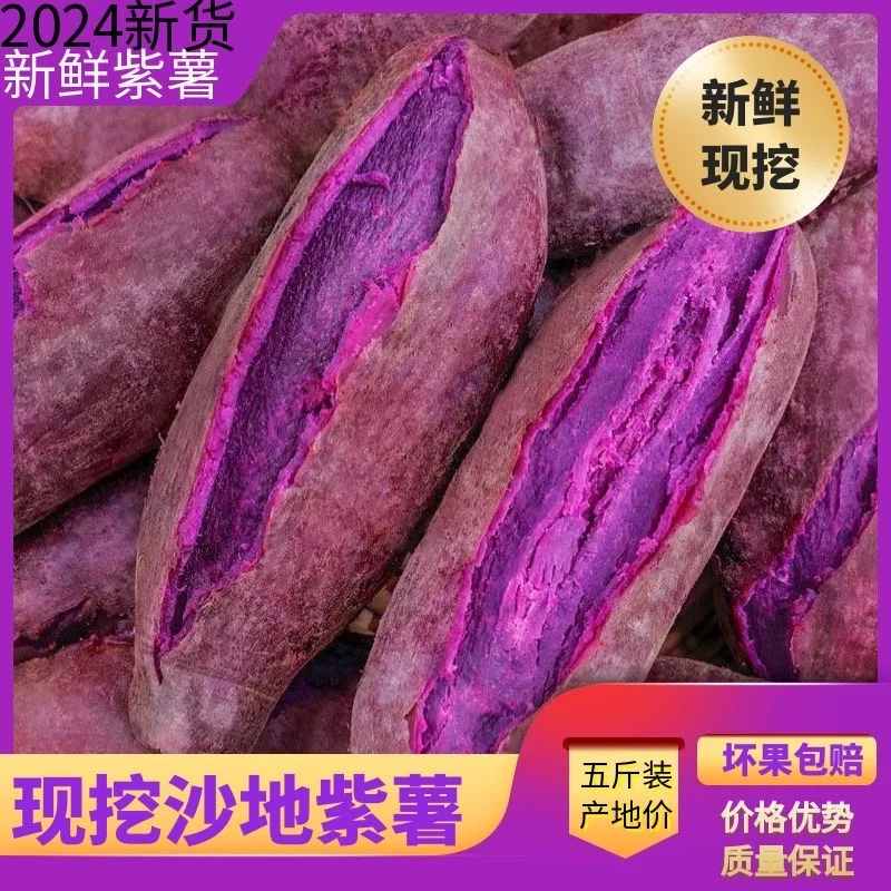 【沙地紫薯】新鲜现挖紫薯紫罗兰地瓜 5斤装软糯香甜产地直发