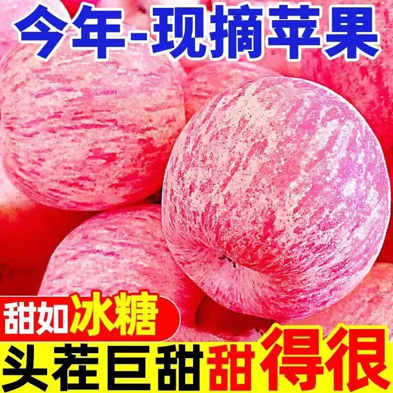 精选正宗苹果陕西高山苹果红富士苹果正宗苹果新鲜孕妇头茬大果甜