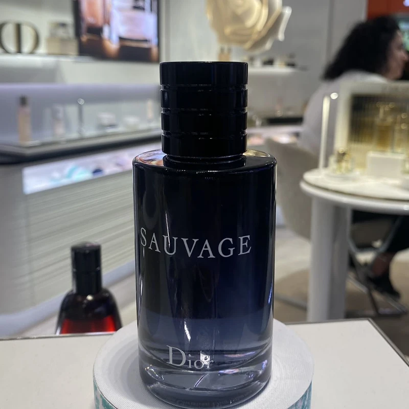 DIOR/迪奥旷野香水100ML