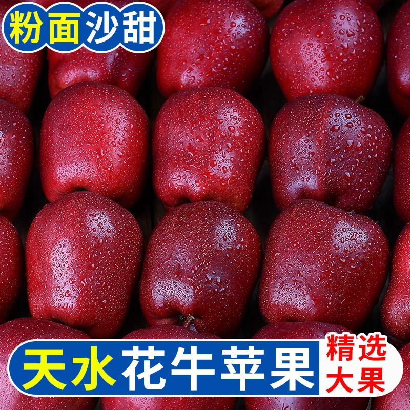 甘肃天水花牛苹果新鲜当季水果/红蛇粉面平果脆甜苹果/红苹果整箱